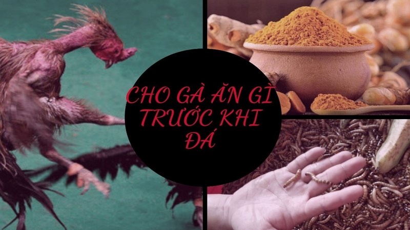 Tuy nhiên, không phải tất cả các cựa chiến đều có cùng nhu cầu dinh dưỡng